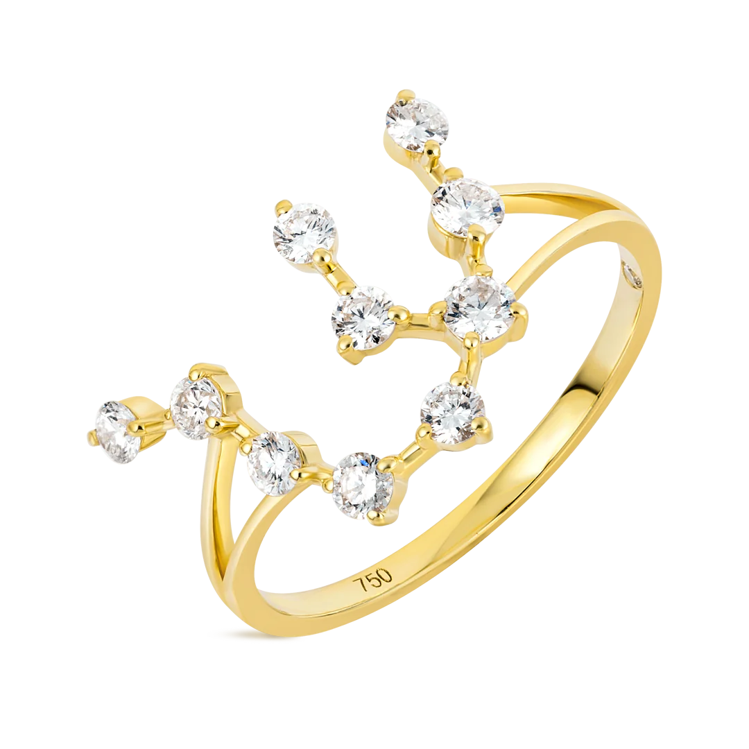 Aquarius Constellation Ring