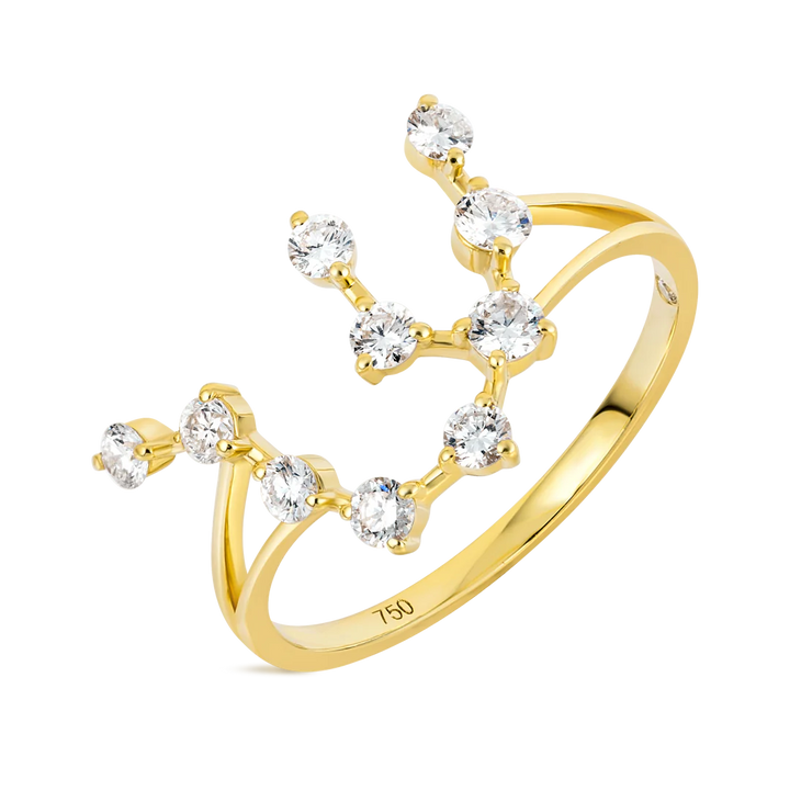 Aquarius Constellation Ring
