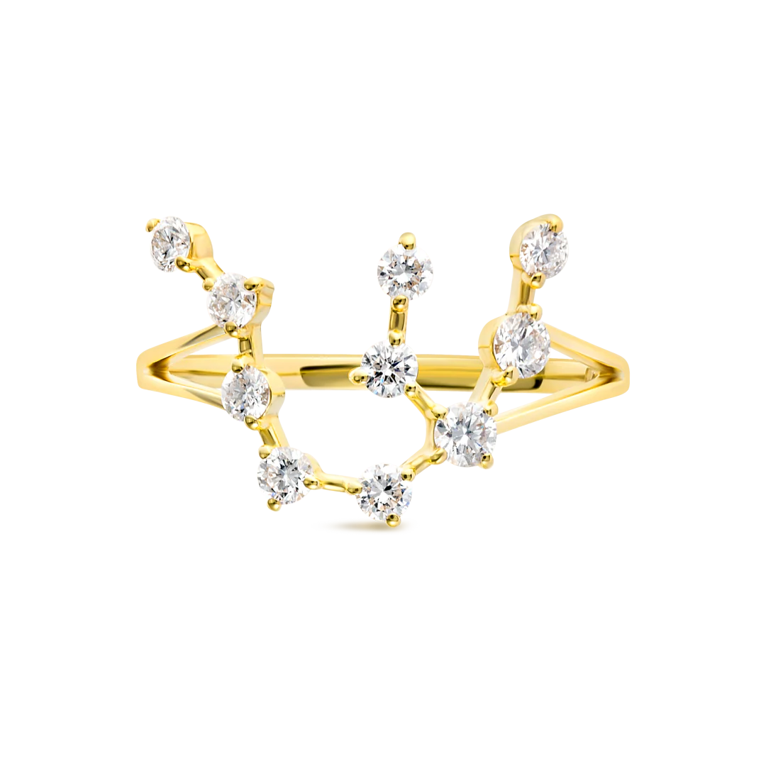 Aquarius Constellation Ring