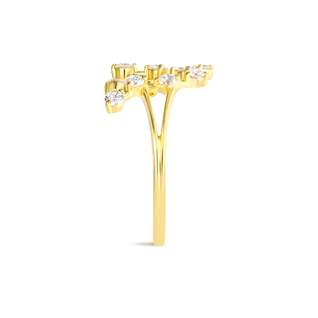 Aquarius Constellation Ring