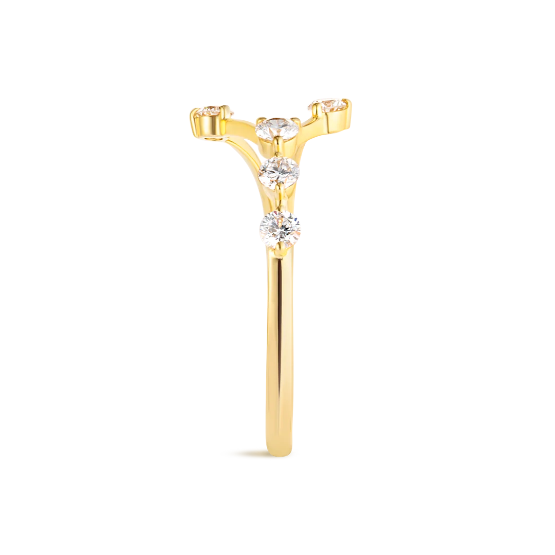 Cancer Constellation