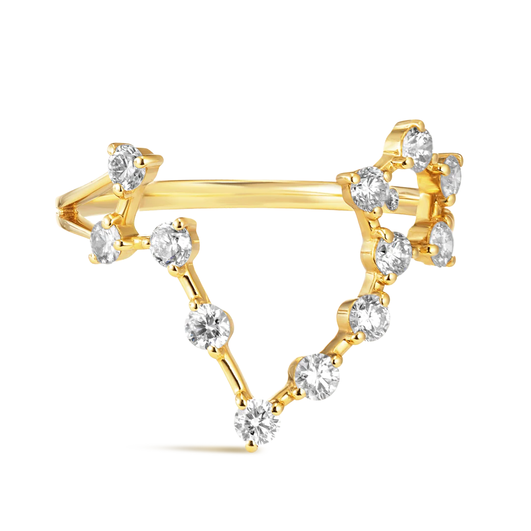 Pisces Constellation Ring