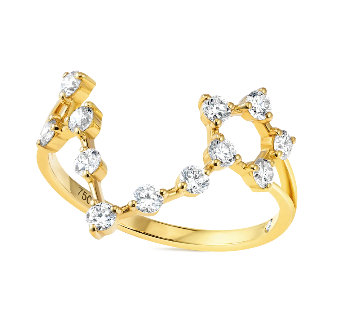 Pisces Constellation Ring